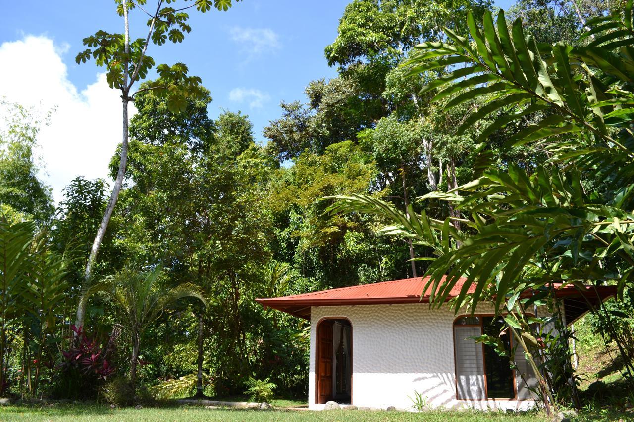 Natuga Ecolodge-Villas Dominical Baru Pokój zdjęcie